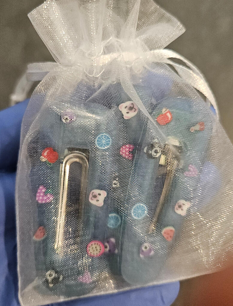 Blue hair clips with animals (in bag) Blue hair clips with animals (in bag)